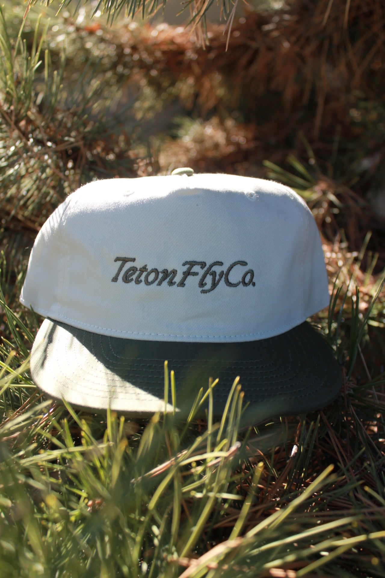 Teton Fly Co. Snapback image 1